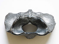 Sculptures and Installations by Samantha Sand-Holmes